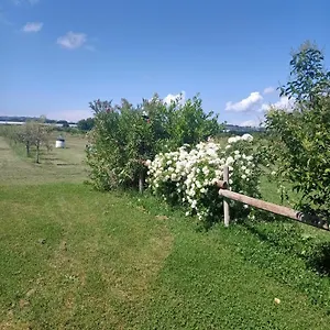  Alloggio per agriturismo Il Cipresso