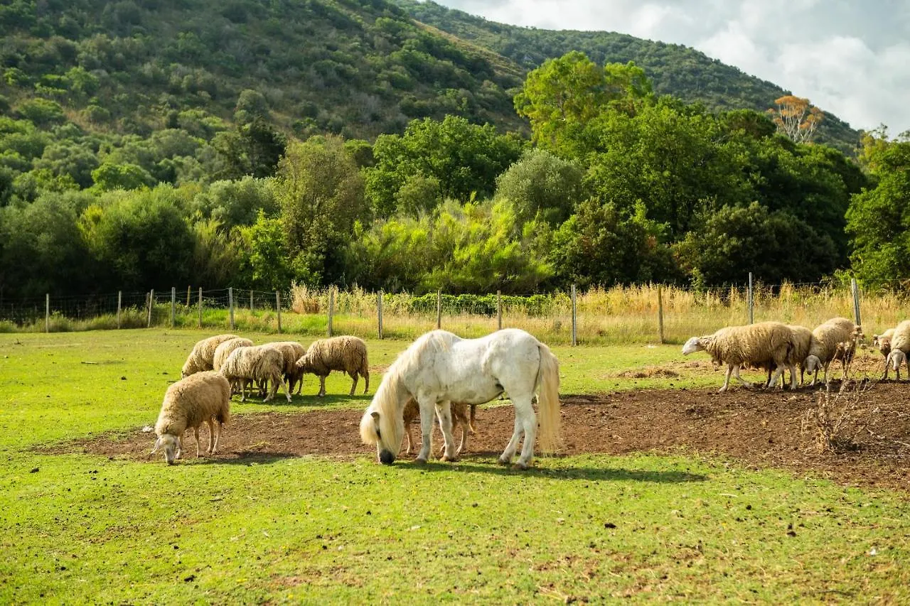 Antica Fattoria La Parrina Villa Orbetello 0*,