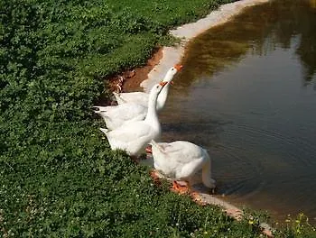 Alloggio per agriturismo Villa Antica Fattoria La Parrina Orbetello