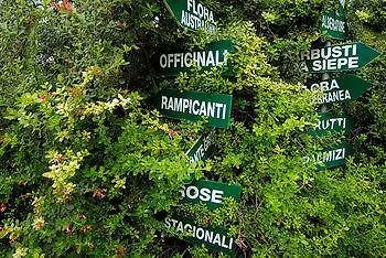 Villa Antica Fattoria La Parrina Orbetello Alloggio per agriturismo
